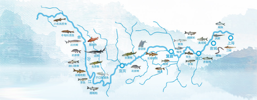 耀世注册：保护生物多样性  呵护长江母亲河（新时代画卷）(图11)